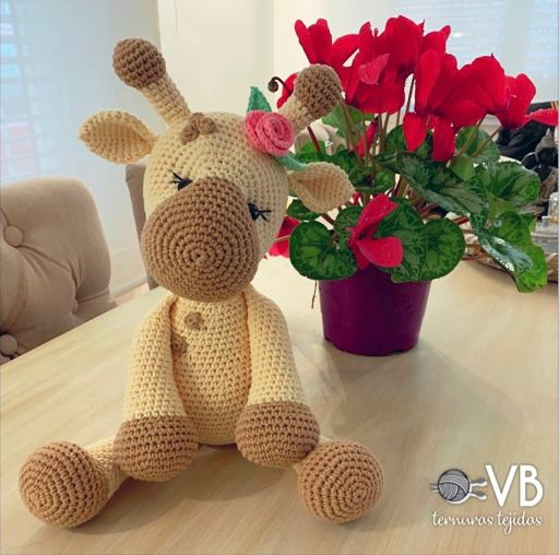 whatsapp image 2026 02 05 at 17.48.47